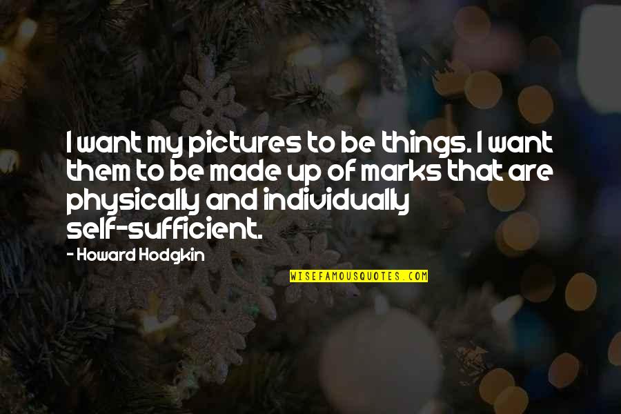 Halsa Shoes Quotes By Howard Hodgkin: I want my pictures to be things. I Halsa Shoes Quotes By Howard Hodgkin: I want my pictures to be things. I