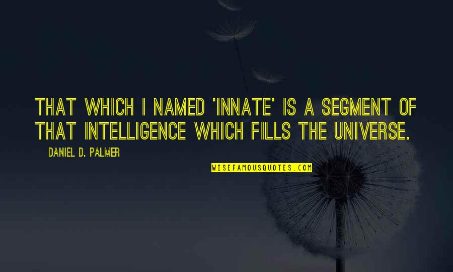 Halvat Hinnat Quotes By Daniel D. Palmer: That which I named 'innate' is a segment