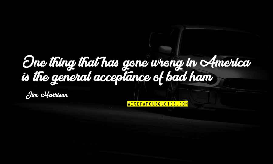 Ham Quotes By Jim Harrison: One thing that has gone wrong in America