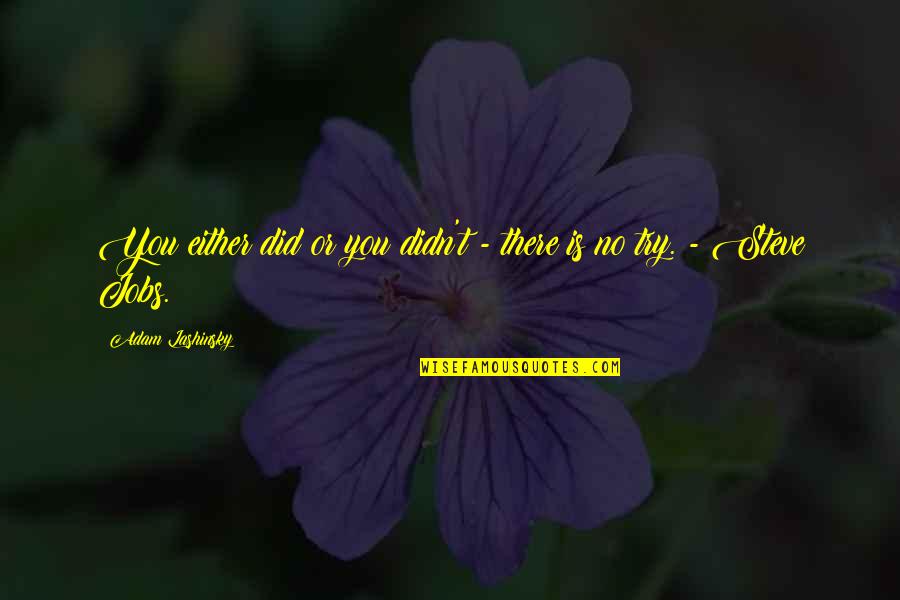 Hamadan Quotes By Adam Lashinsky: You either did or you didn't - there Hamadan Quotes By Adam Lashinsky: You either did or you didn't - there