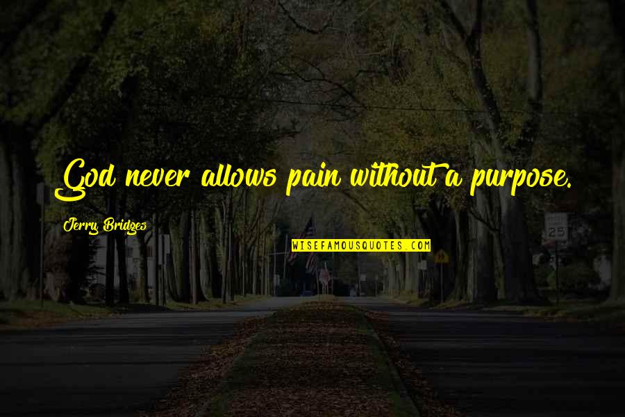 Hamadryas Quotes By Jerry Bridges: God never allows pain without a purpose.
