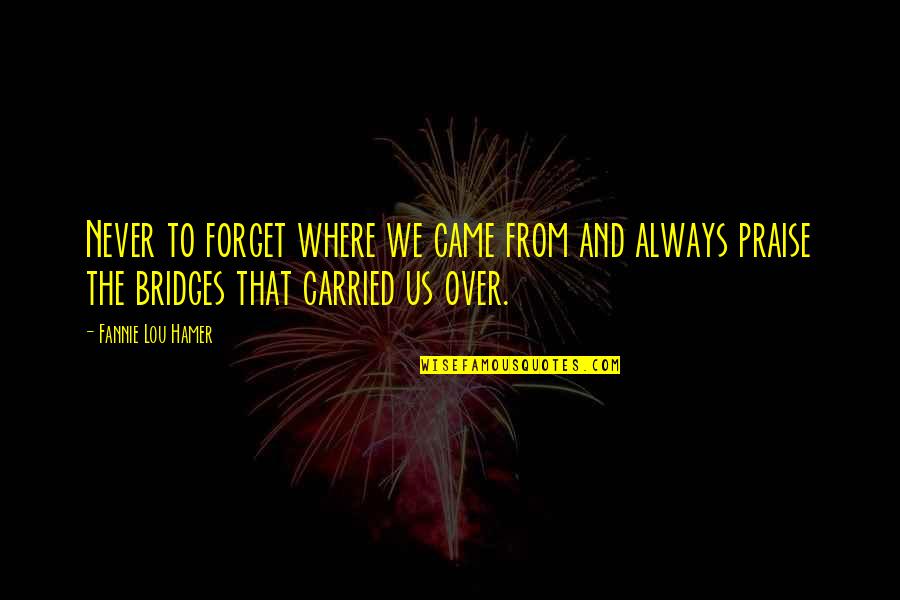 Hamer Quotes By Fannie Lou Hamer: Never to forget where we came from and