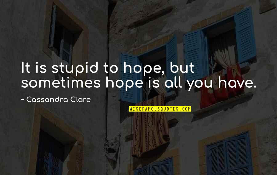Hamid Movie Quotes By Cassandra Clare: It is stupid to hope, but sometimes hope Hamid Movie Quotes By Cassandra Clare: It is stupid to hope, but sometimes hope