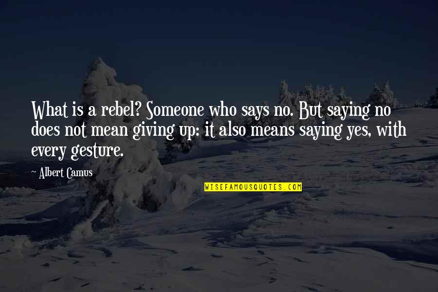 Hamideh Tinley Quotes By Albert Camus: What is a rebel? Someone who says no. Hamideh Tinley Quotes By Albert Camus: What is a rebel? Someone who says no.