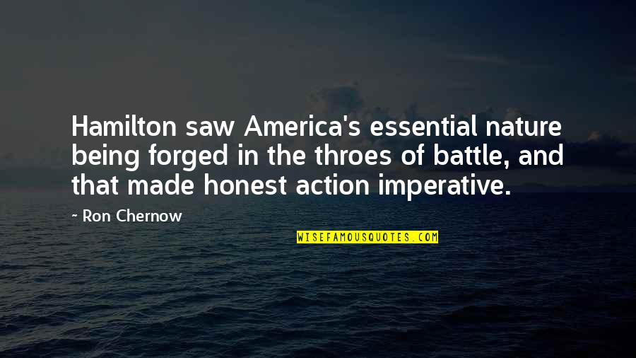 Hamilton's Quotes By Ron Chernow: Hamilton saw America's essential nature being forged in