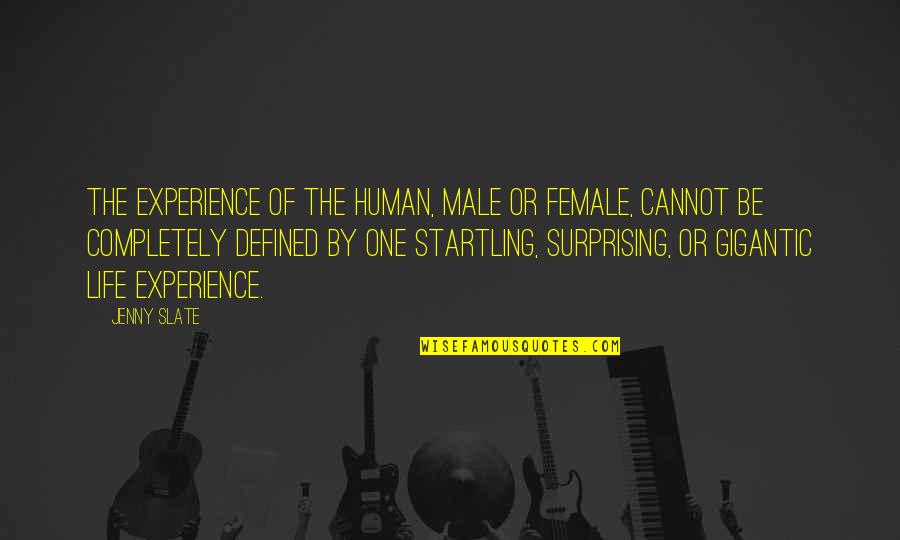 Hamlet Fate Quotes By Jenny Slate: The experience of the human, male or female, Hamlet Fate Quotes By Jenny Slate: The experience of the human, male or female,