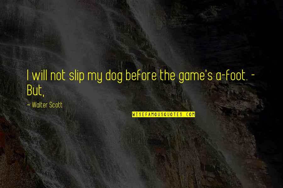 Hamlet Going Crazy Quotes By Walter Scott: I will not slip my dog before the