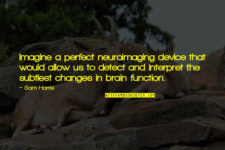 Hamlet Low Self Esteem Quotes By Sam Harris: Imagine a perfect neuroimaging device that would allow