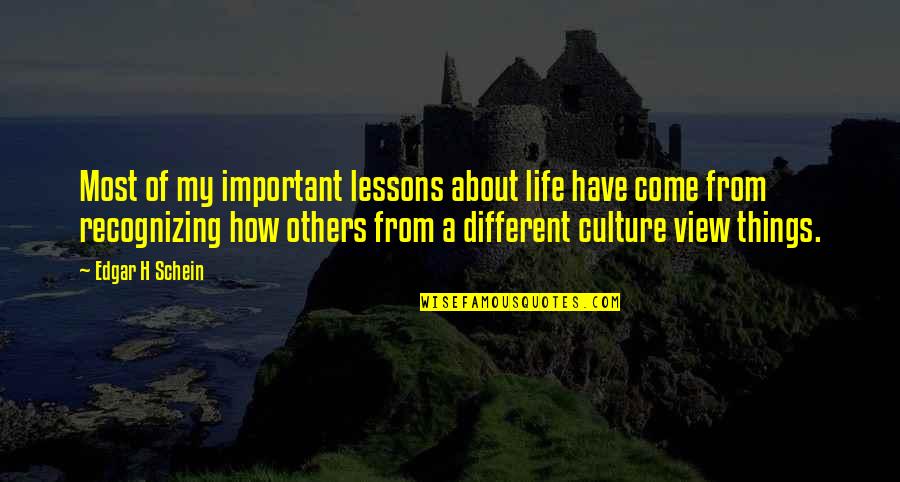 Hammadi Amor Quotes By Edgar H Schein: Most of my important lessons about life have