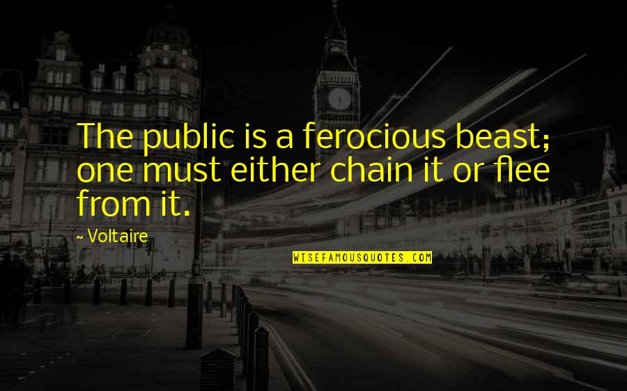 Hammaker Schimler Quotes By Voltaire: The public is a ferocious beast; one must