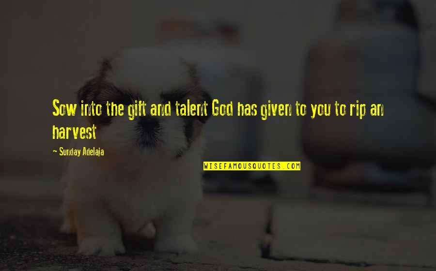 Hammarlee House Quotes By Sunday Adelaja: Sow into the gift and talent God has