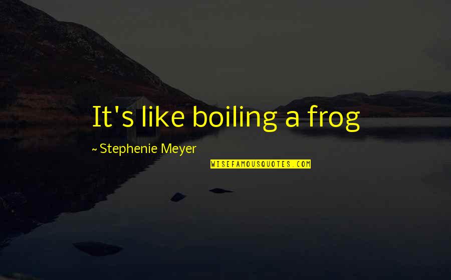 Hammarskjold East Quotes By Stephenie Meyer: It's like boiling a frog Hammarskjold East Quotes By Stephenie Meyer: It's like boiling a frog