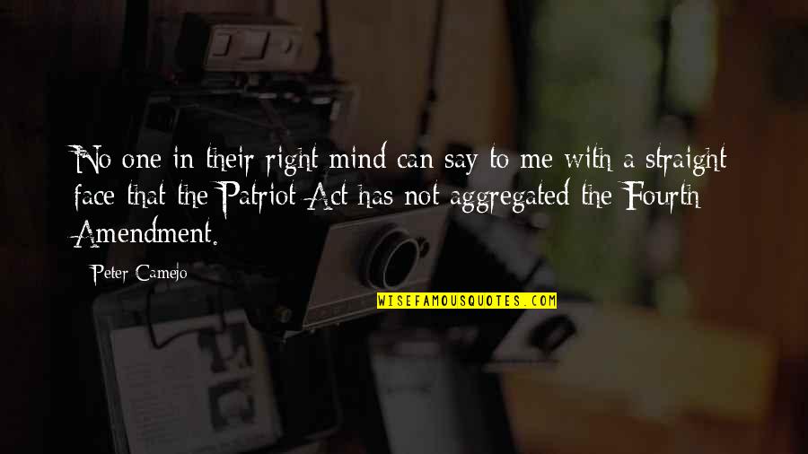 Hammat Pottery Quotes By Peter Camejo: No one in their right mind can say Hammat Pottery Quotes By Peter Camejo: No one in their right mind can say