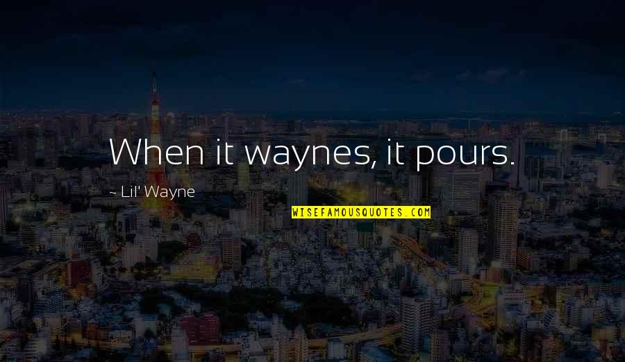 Hammer Art Quotes By Lil' Wayne: When it waynes, it pours.
