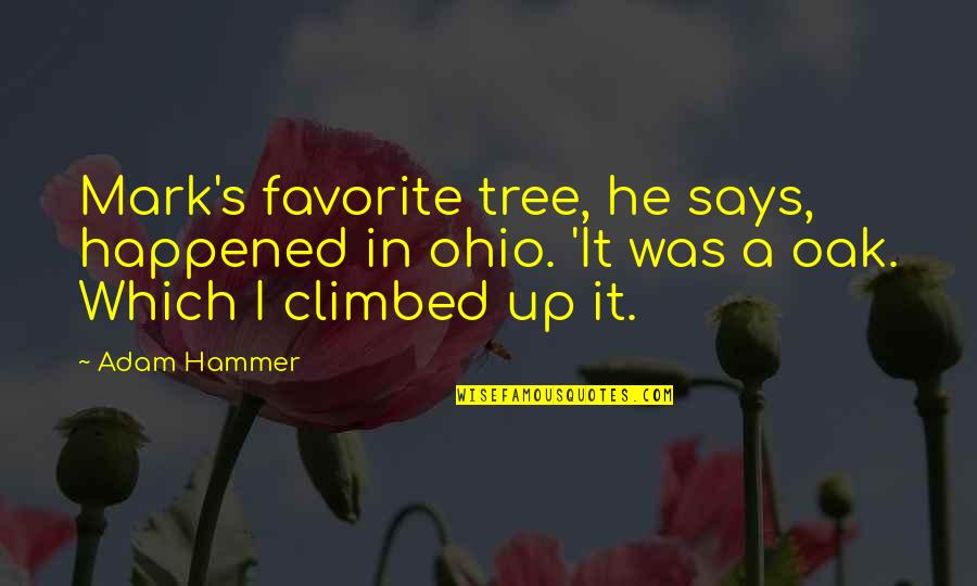 Hammer Quotes By Adam Hammer: Mark's favorite tree, he says, happened in ohio.