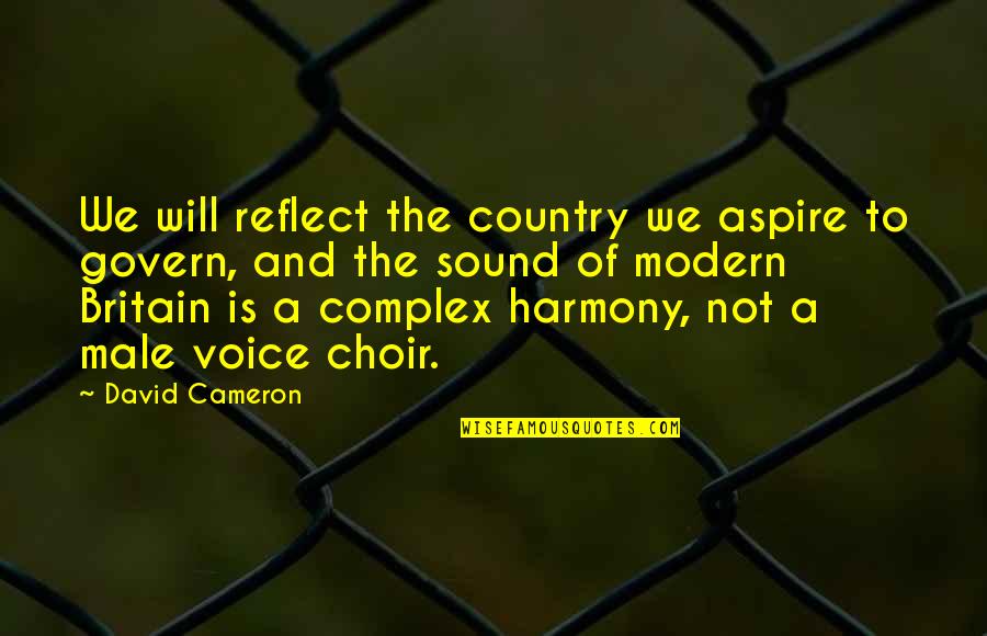 Hampa Quotes By David Cameron: We will reflect the country we aspire to