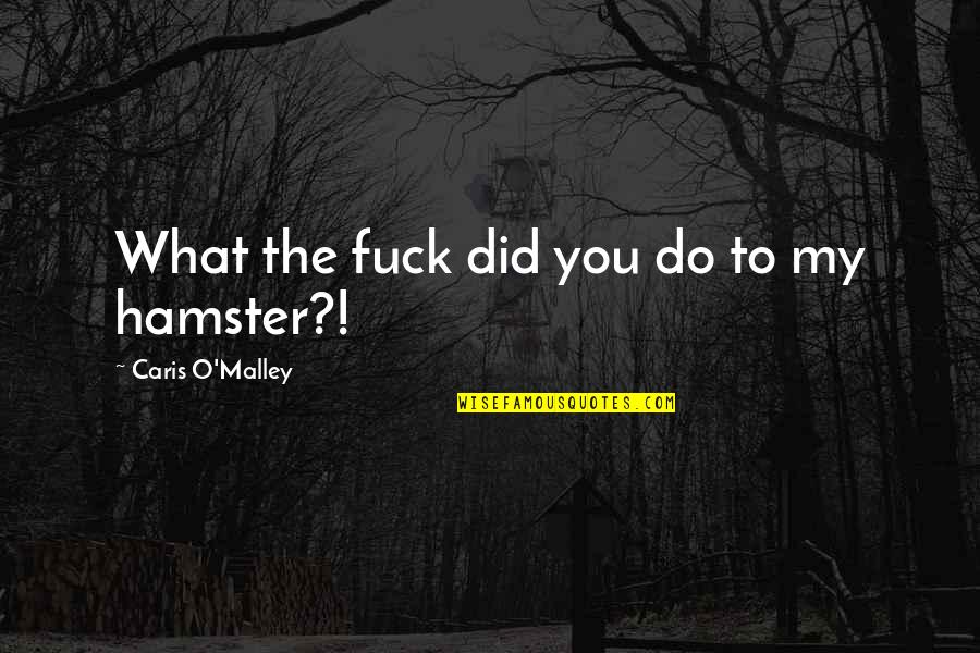 Hamster Quotes By Caris O'Malley: What the fuck did you do to my