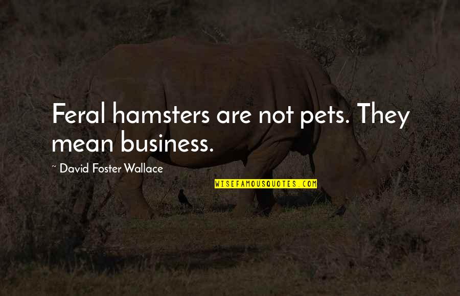 Hamsters Quotes By David Foster Wallace: Feral hamsters are not pets. They mean business. Hamsters Quotes By David Foster Wallace: Feral hamsters are not pets. They mean business.