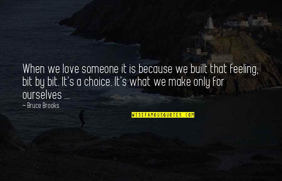 Hamzaoui Ulb Quotes By Bruce Brooks: When we love someone it is because we