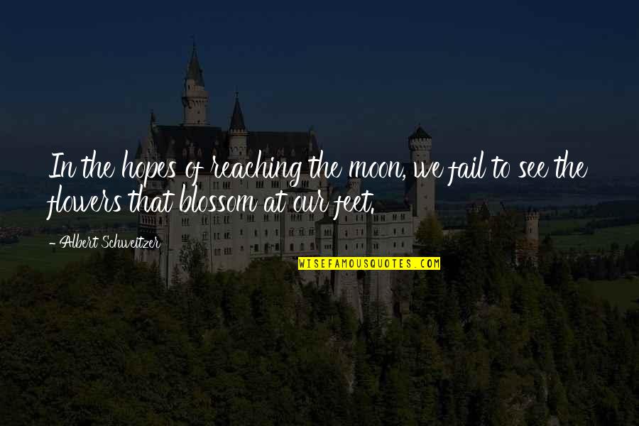 Han Solo Parsec Quotes By Albert Schweitzer: In the hopes of reaching the moon, we Han Solo Parsec Quotes By Albert Schweitzer: In the hopes of reaching the moon, we