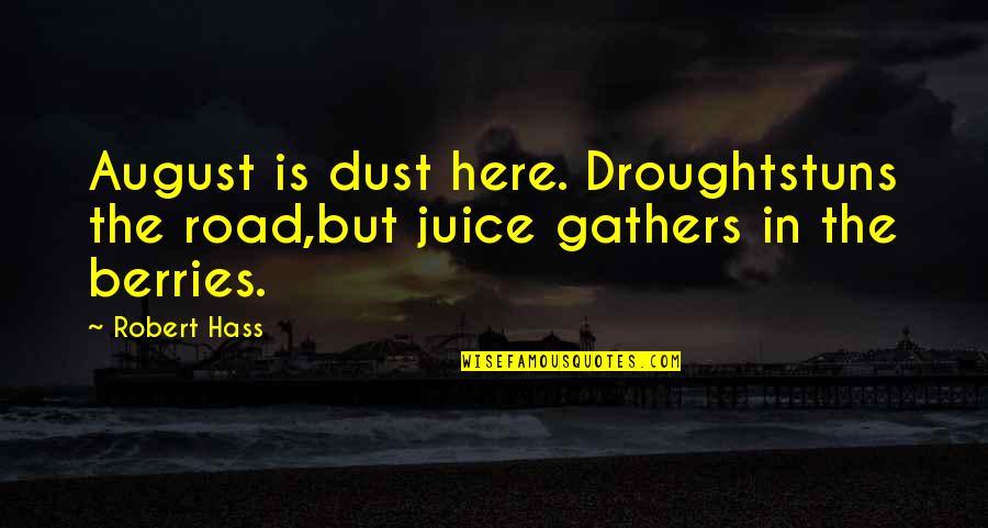 Han Solo Trash Compactor Quotes By Robert Hass: August is dust here. Droughtstuns the road,but juice
