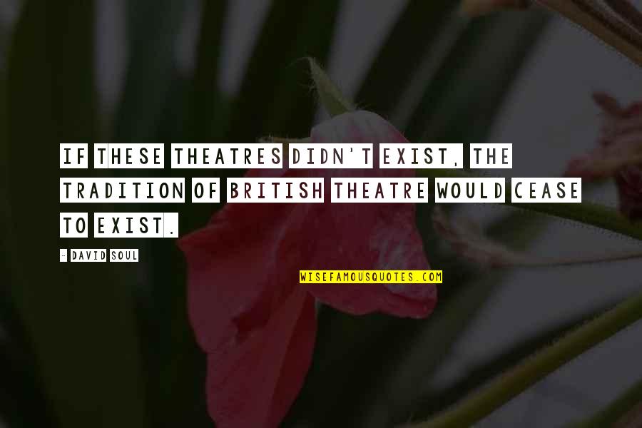 Hanahana Noumea Quotes By David Soul: If these theatres didn't exist, the tradition of