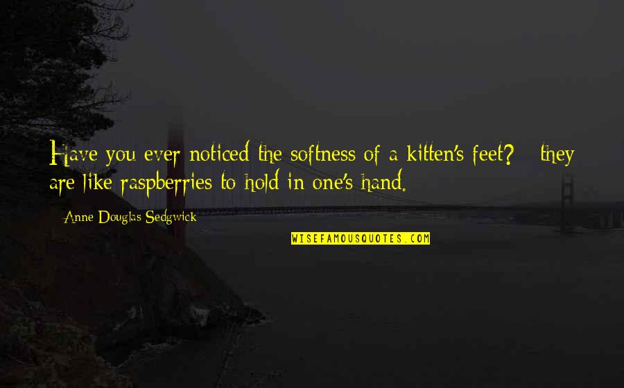 Hand And Feet Quotes By Anne Douglas Sedgwick: Have you ever noticed the softness of a