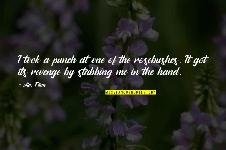 Hand By Hand Quotes By Alex Flinn: I took a punch at one of the Hand By Hand Quotes By Alex Flinn: I took a punch at one of the