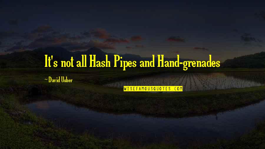 Hand Grenades Quotes By David Usher: It's not all Hash Pipes and Hand-grenades