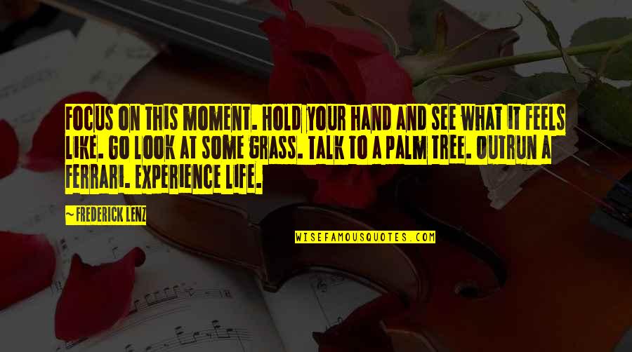 Hand Hold Quotes By Frederick Lenz: Focus on this moment. Hold your hand and