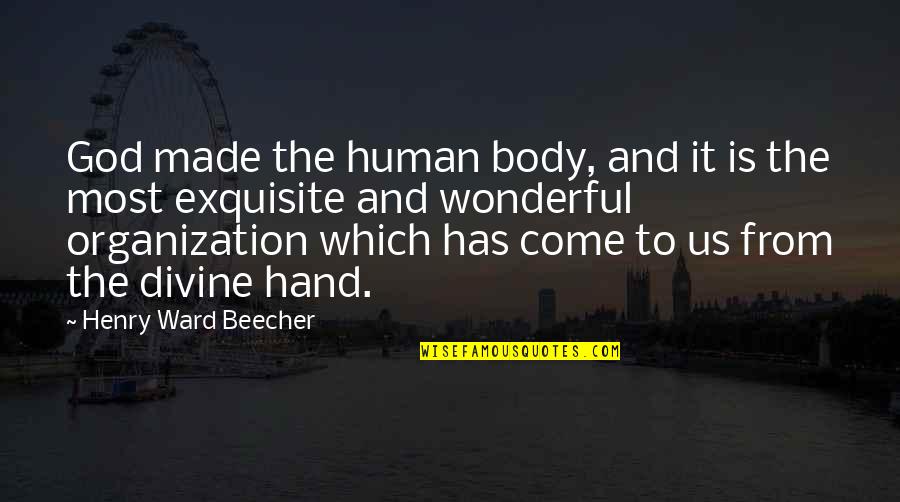 Hand To God Quotes By Henry Ward Beecher: God made the human body, and it is
