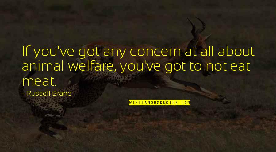 Hand Wringing Syndrome Quotes By Russell Brand: If you've got any concern at all about