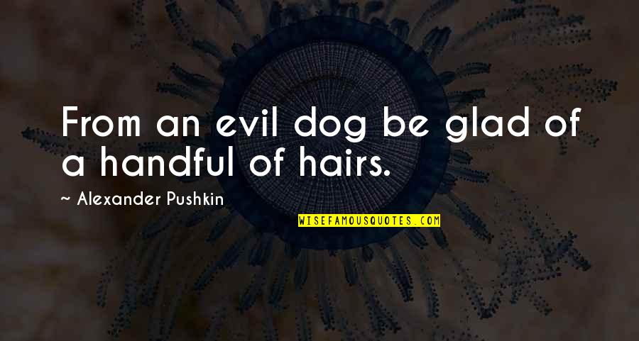 Handful Quotes By Alexander Pushkin: From an evil dog be glad of a