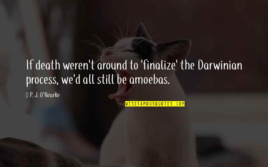 Handfuls Of Money Quotes By P. J. O'Rourke: If death weren't around to 'finalize' the Darwinian Handfuls Of Money Quotes By P. J. O'Rourke: If death weren't around to 'finalize' the Darwinian
