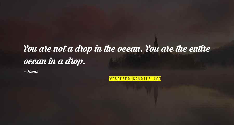 Handfuls Of The Harvest Quotes By Rumi: You are not a drop in the ocean.