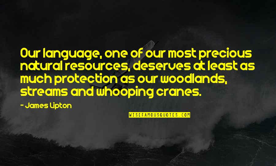 Handiness Synonyms Quotes By James Lipton: Our language, one of our most precious natural