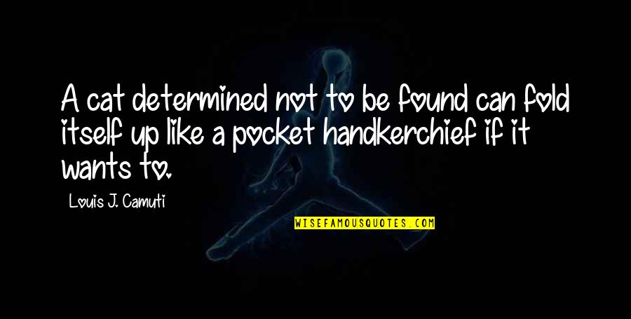 Handkerchief Quotes By Louis J. Camuti: A cat determined not to be found can