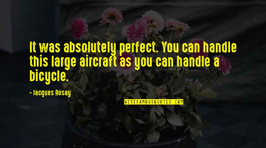 Handle It Quotes By Jacques Rosay: It was absolutely perfect. You can handle this