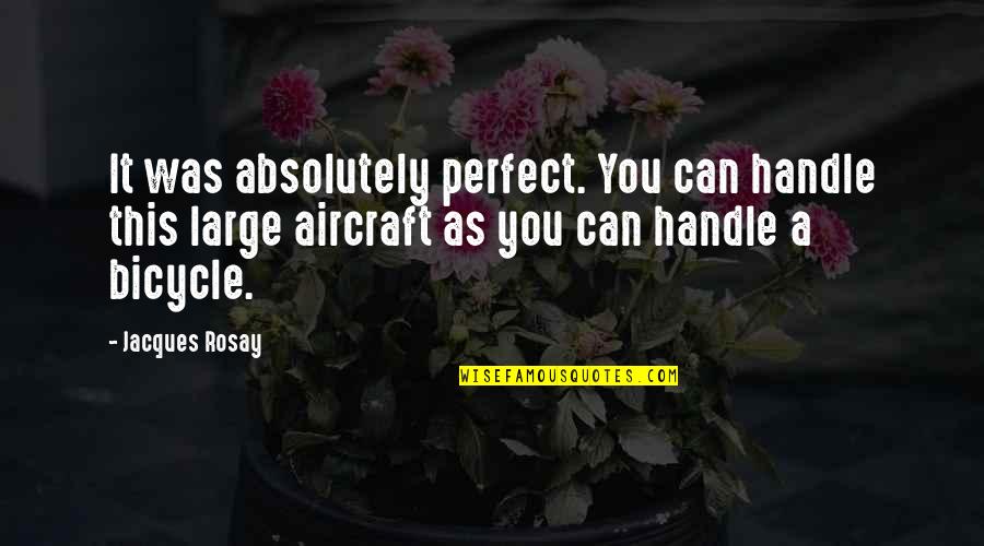 Handle Quotes By Jacques Rosay: It was absolutely perfect. You can handle this