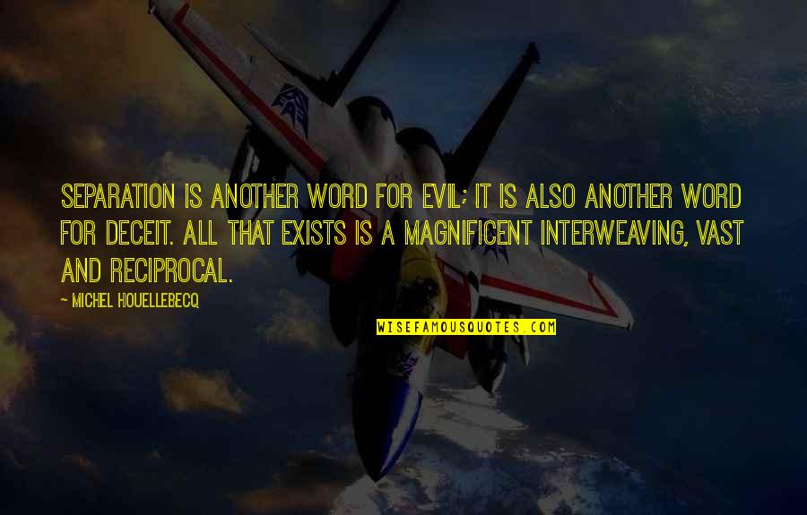 Handli Quotes By Michel Houellebecq: Separation is another word for evil; it is Handli Quotes By Michel Houellebecq: Separation is another word for evil; it is