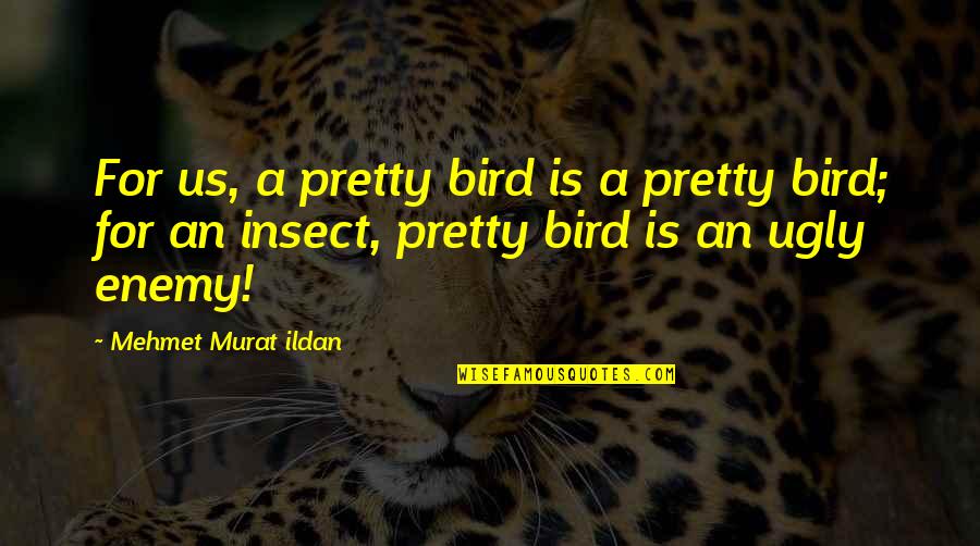 Handling Pressure Quotes By Mehmet Murat Ildan: For us, a pretty bird is a pretty