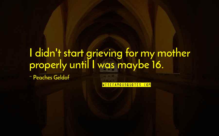 Handlungskompetenz Quotes By Peaches Geldof: I didn't start grieving for my mother properly Handlungskompetenz Quotes By Peaches Geldof: I didn't start grieving for my mother properly