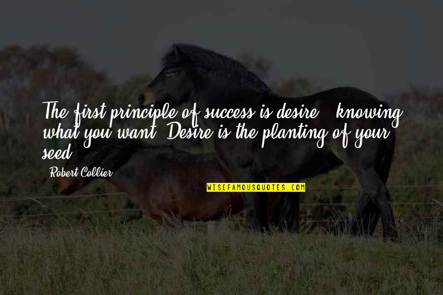 Handmaidens Series Quotes By Robert Collier: The first principle of success is desire - Handmaidens Series Quotes By Robert Collier: The first principle of success is desire -