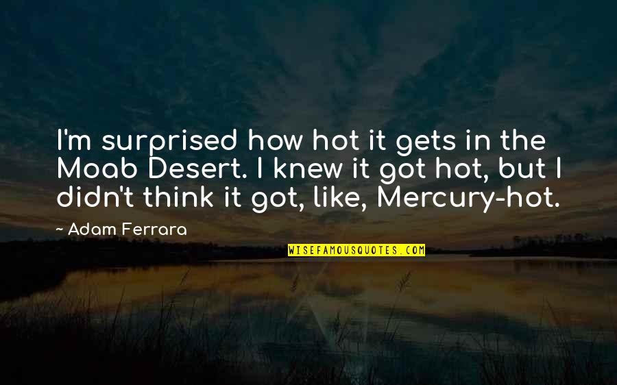 Handoko Tjung Quotes By Adam Ferrara: I'm surprised how hot it gets in the Handoko Tjung Quotes By Adam Ferrara: I'm surprised how hot it gets in the