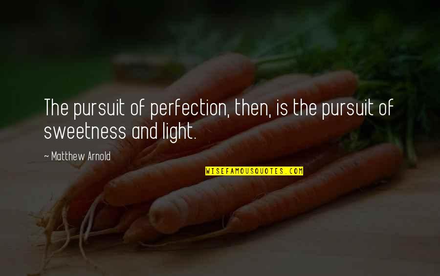 Handrail Quotes By Matthew Arnold: The pursuit of perfection, then, is the pursuit