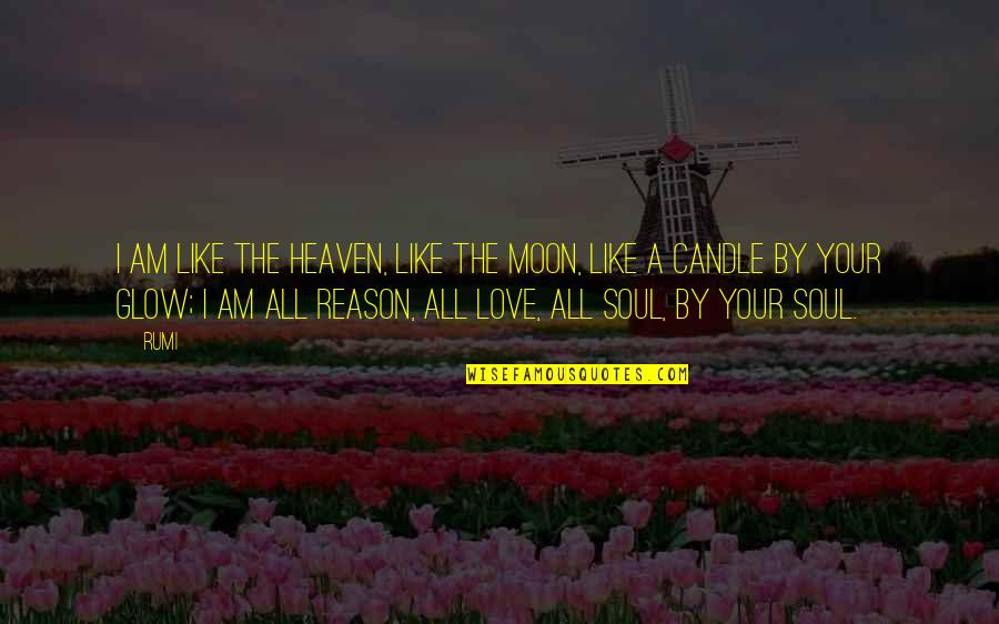 Hands And Family Quotes By Rumi: I am like the heaven, like the moon, Hands And Family Quotes By Rumi: I am like the heaven, like the moon,