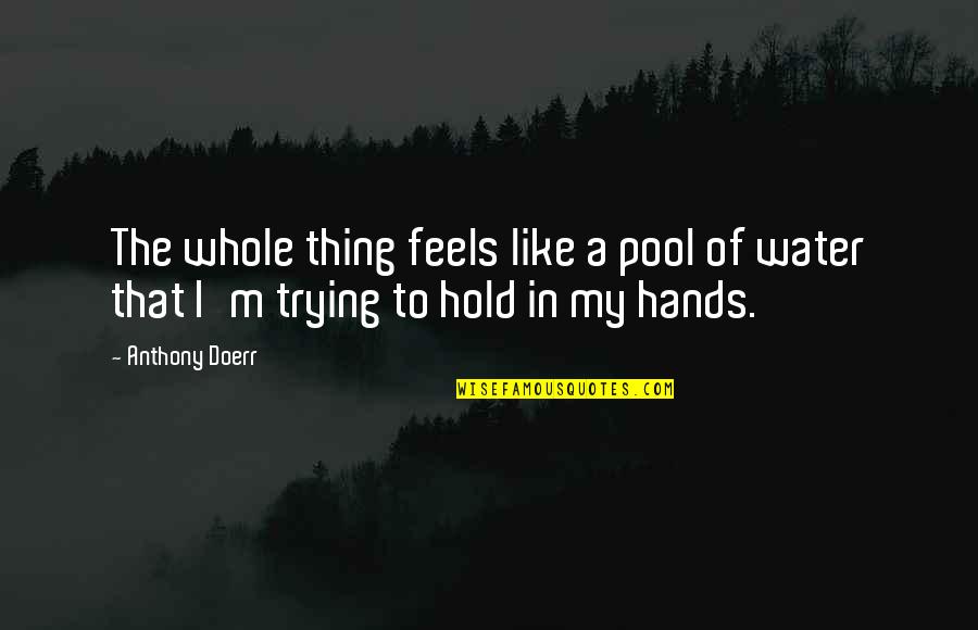 Hands And Water Quotes By Anthony Doerr: The whole thing feels like a pool of