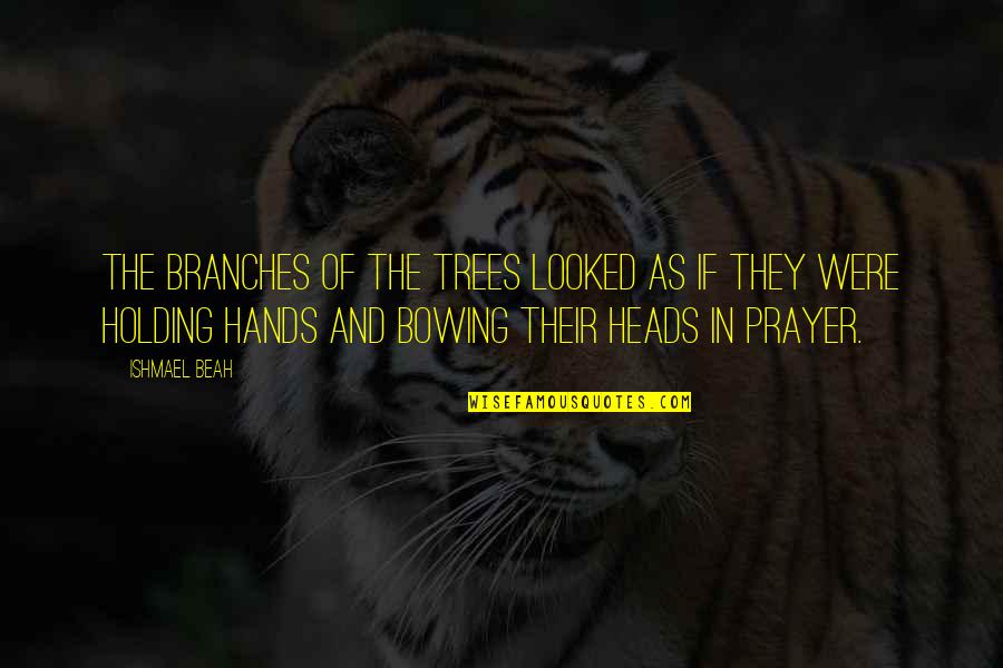 Hands Holding Quotes By Ishmael Beah: The branches of the trees looked as if Hands Holding Quotes By Ishmael Beah: The branches of the trees looked as if