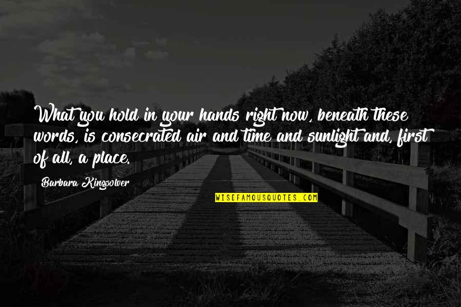 Hands Up In The Air Quotes By Barbara Kingsolver: What you hold in your hands right now,
