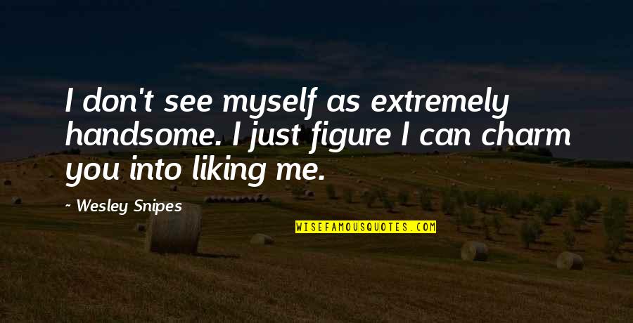Handsome Quotes By Wesley Snipes: I don't see myself as extremely handsome. I Handsome Quotes By Wesley Snipes: I don't see myself as extremely handsome. I